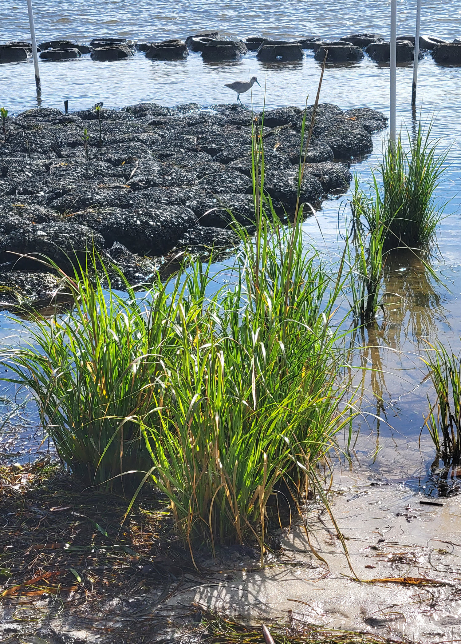 Vinoy Park - Waterfront Parks Foundation | St. Petersburg, FL